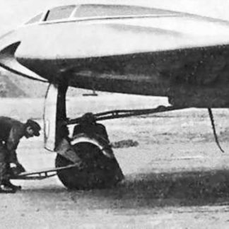 Go-229 / Ho-229
