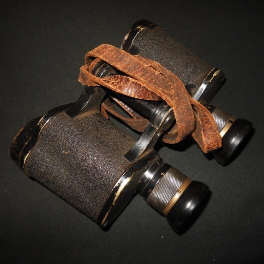 WW2 German Wehrmacht - 6x30 EMIL BUSCH BINOCULARS - CXN - VERY NICE!
