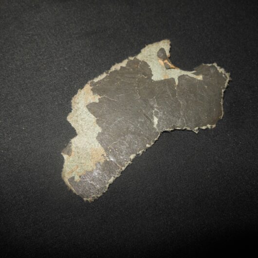 WW2 German Luftwaffe Aircraft - FABRIC SKIN SECTION - He111 - VERY NICE!