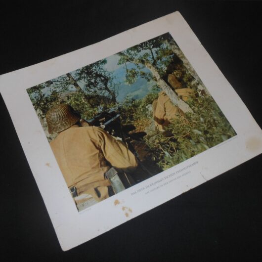 WW2 German - " Heer Das Heer im Grossdeutschen Freiheitskampf " – COLOR PRINT #1
