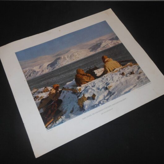 WW2 German - " Heer Das Heer im Grossdeutschen Freiheitskampf " – COLOR PRINT #6